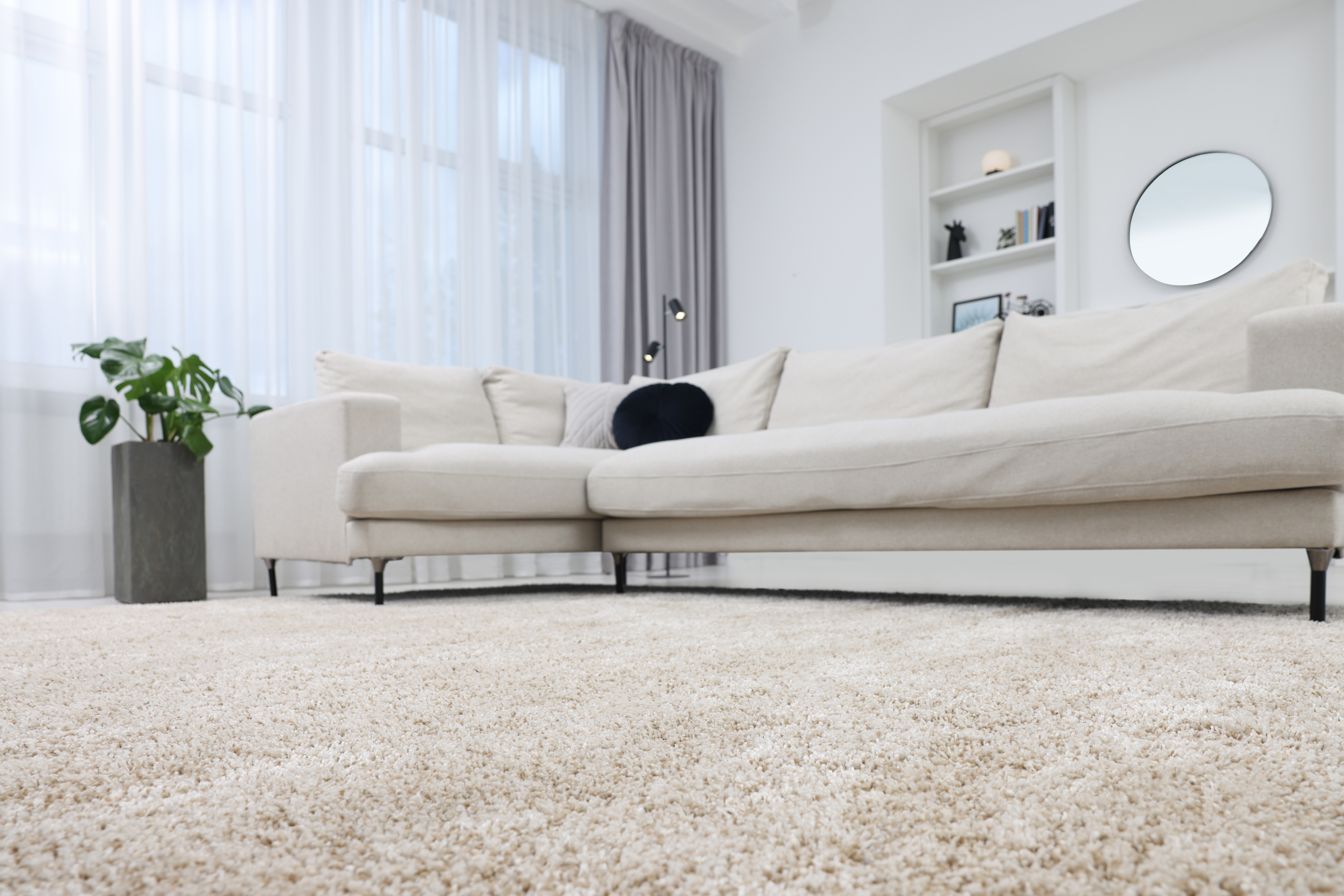 View of a fluffy carpet and stylish furniture in a living room, provided by a carpet supplier.